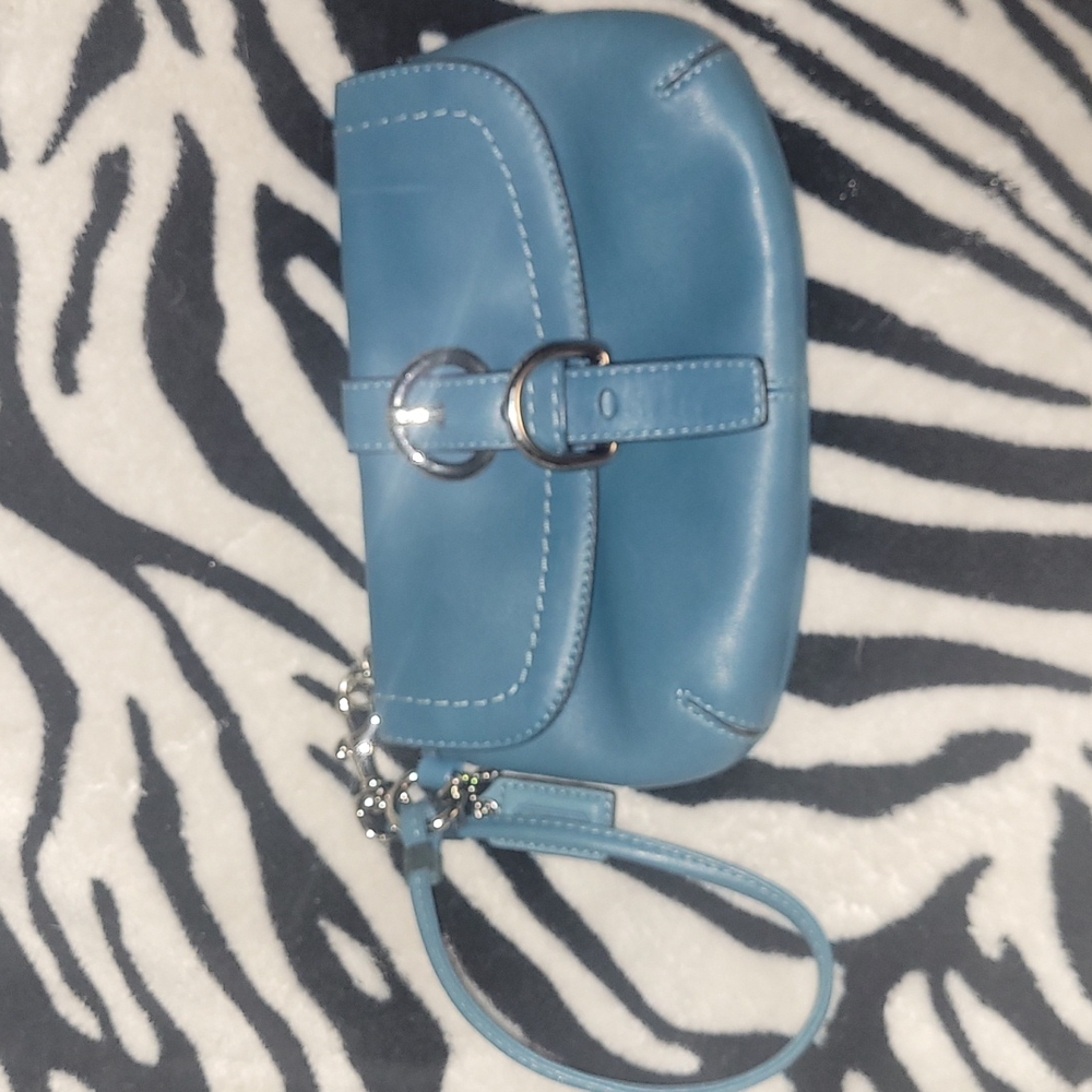COACH Women’s Chelsea Capacity Leather Green Wristlet Wallet